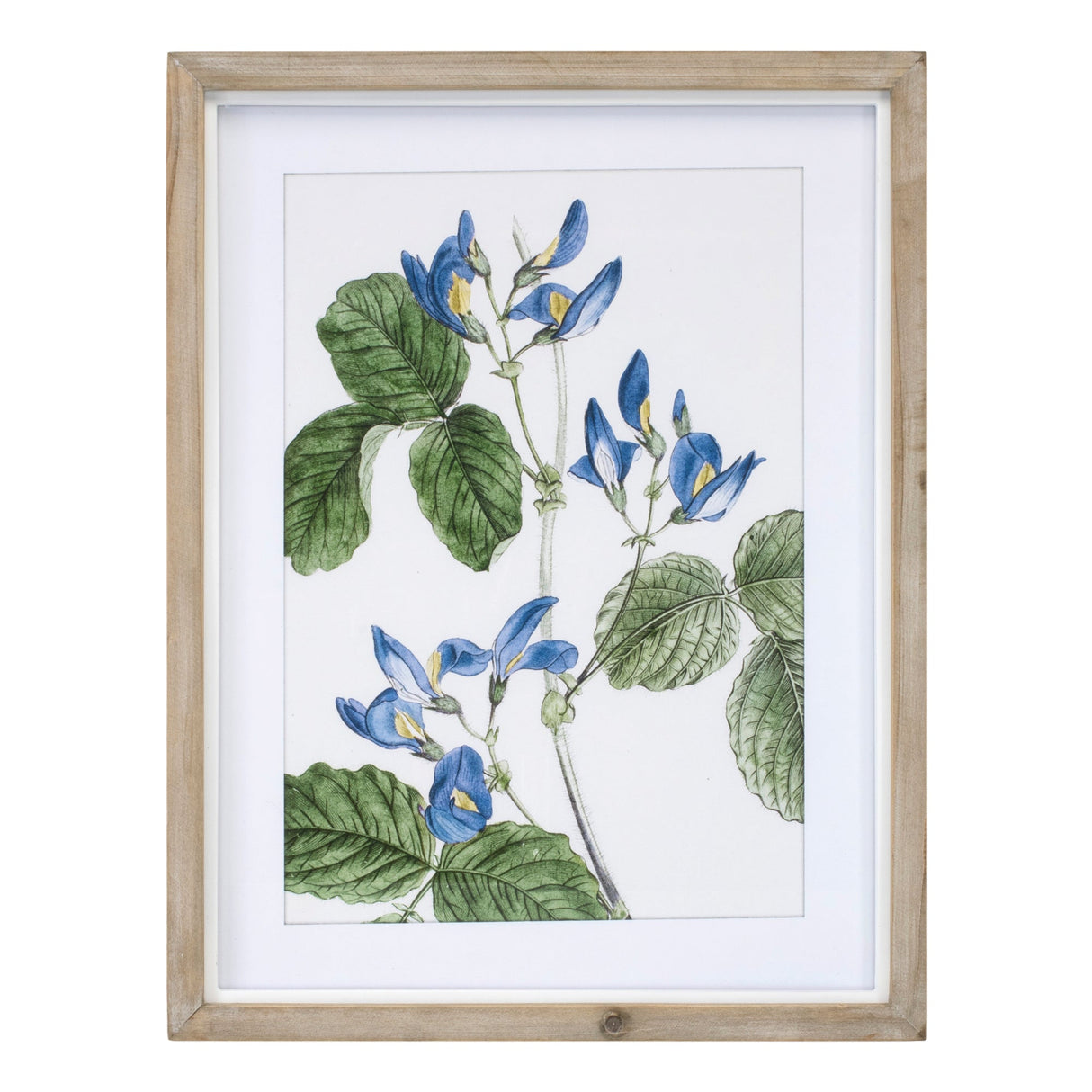 Wood Framed Floral Print (Set of 4)
