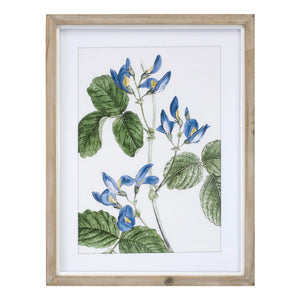 Wood Framed Floral Print (Set of 4)