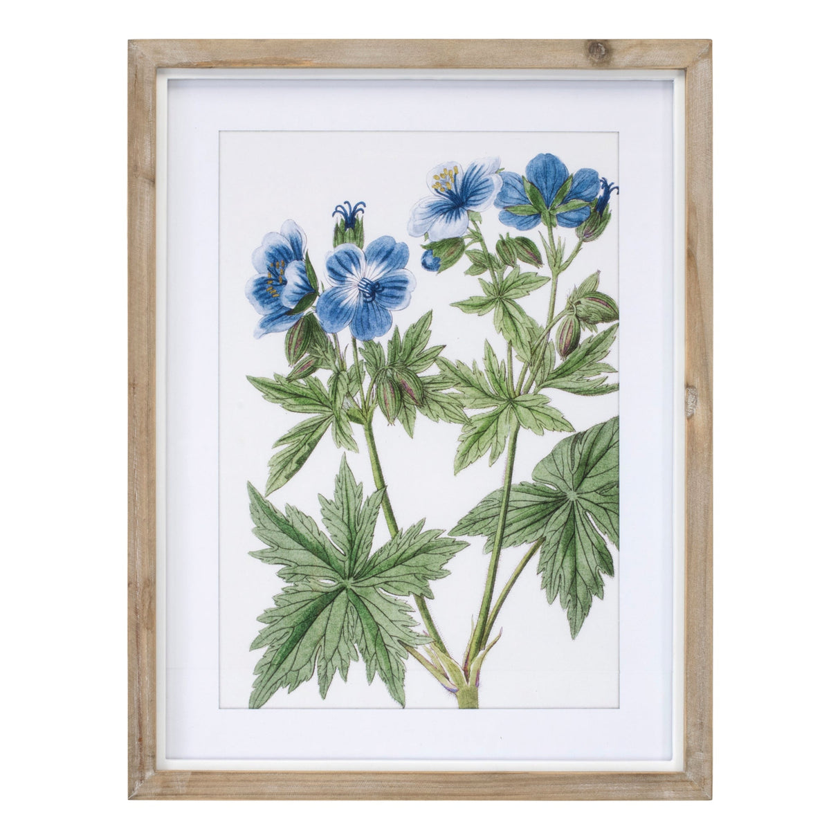 Wood Framed Floral Print (Set of 4)