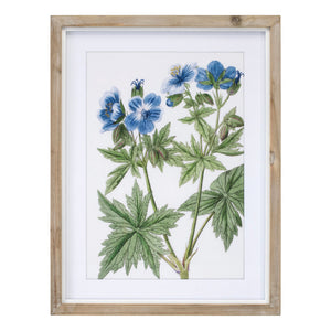 Wood Framed Floral Print (Set of 4)