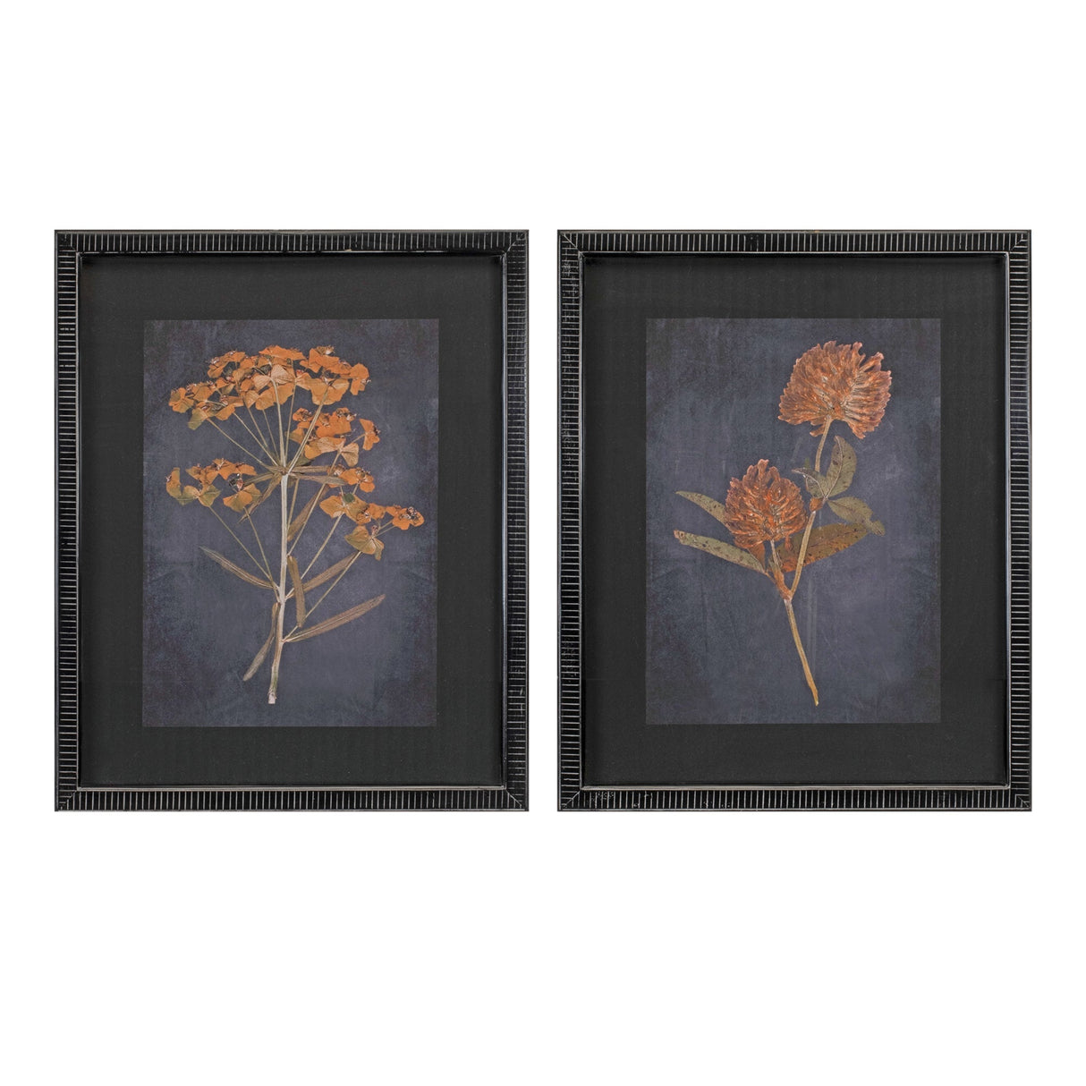 Wood-framed-botanical-print-(set-of-2)-Wall-Art