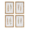 Wood-framed-fern-print-(set-of-4)-Wall-Art