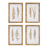 Wood-framed-fern-print-(set-of-4)-Wall-Art