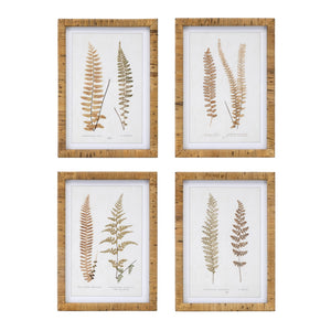 Wood-framed-fern-print-(set-of-4)-Wall-Art
