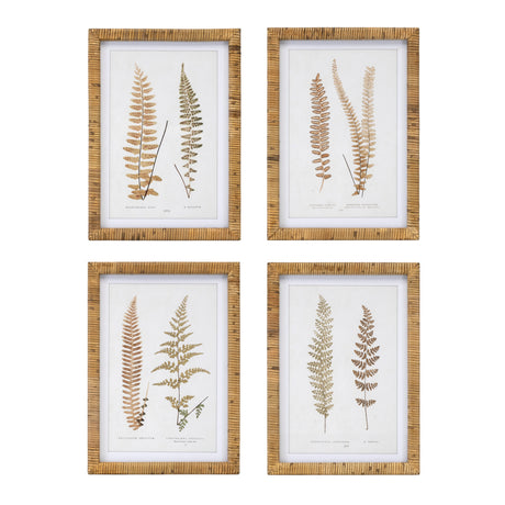 Wood-framed-fern-print-(set-of-4)-Wall-Art
