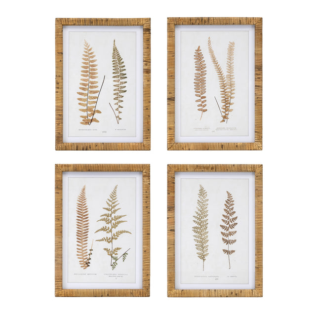Wood-framed-fern-print-(set-of-4)-Wall-Art