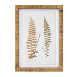Wood framed fern print (set of 4)