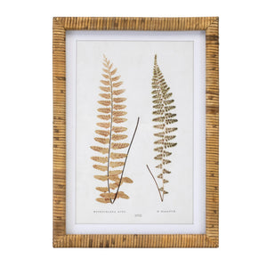 Wood framed fern print (set of 4)
