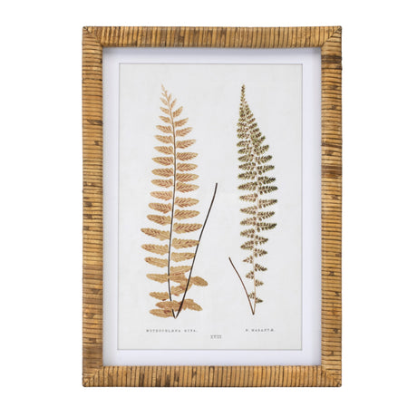 Wood framed fern print (set of 4)