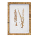Wood framed fern print (set of 4)
