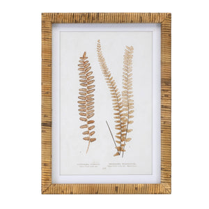 Wood framed fern print (set of 4)