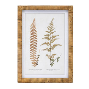 Wood framed fern print (set of 4)