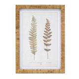 Wood framed fern print (set of 4)