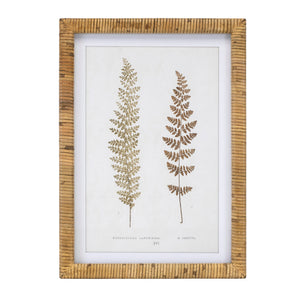 Wood framed fern print (set of 4)