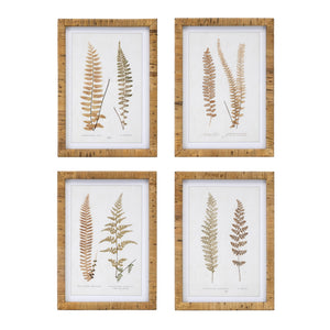 Wood Framed Fern Print (Set of 4)