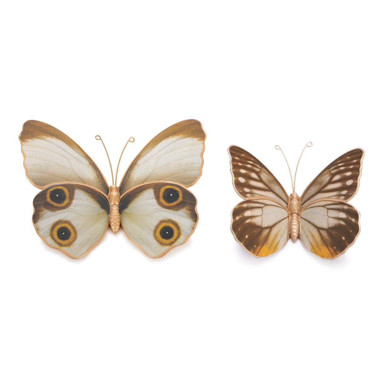 Amber butterfly and moth shelf sitter (set of 2)