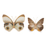 Amber butterfly and moth shelf sitter (set of 2)