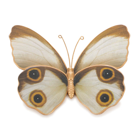 Amber butterfly and moth shelf sitter (set of 2)