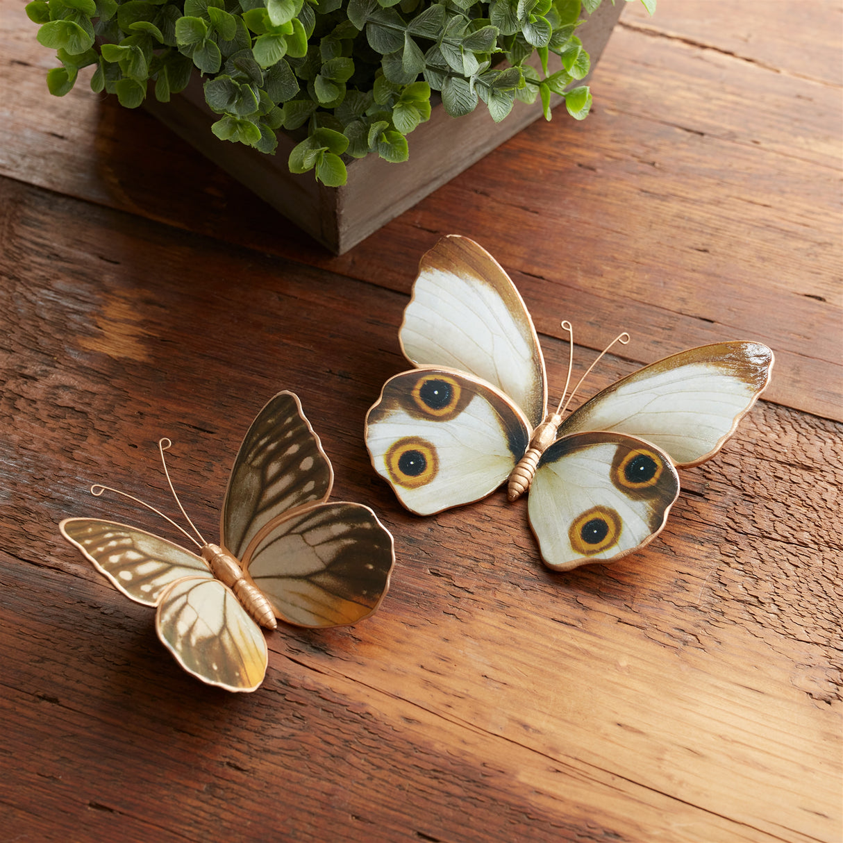 Amber butterfly and moth shelf sitter (set of 2)