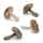 Stone-mushroom-shelf-sitter-(set-of-12)-Garden-Decor