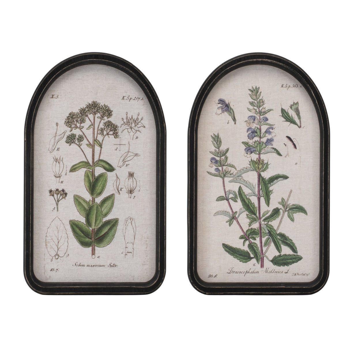 Framed-floral-arch-print-(set-of-2)-Wall-Art
