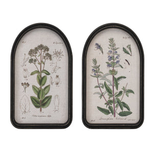 Framed-floral-arch-print-(set-of-2)-Wall-Art