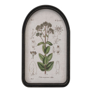 Framed floral arch print (set of 2)