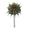 Brown sunflower stem (set of 6)