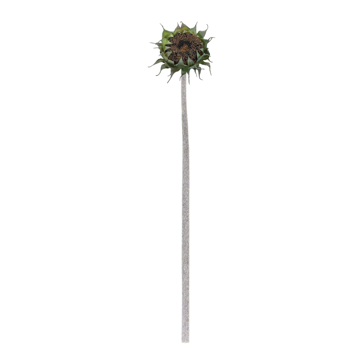 Brown sunflower stem (set of 6)