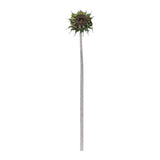 Brown sunflower stem (set of 6)