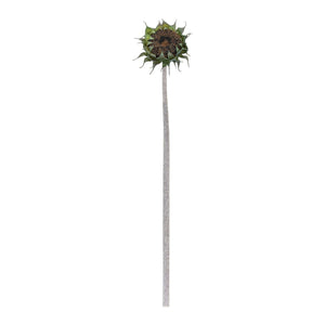 Brown Sunflower Stem (Set of 6)