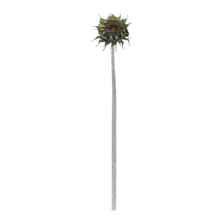 Brown sunflower stem (set of 6)