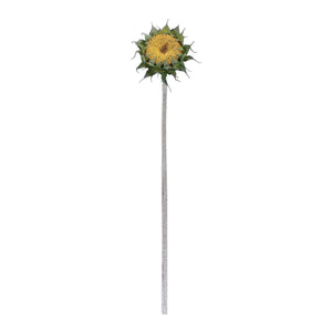 Yellow Sunflower Stem (Set of 6)