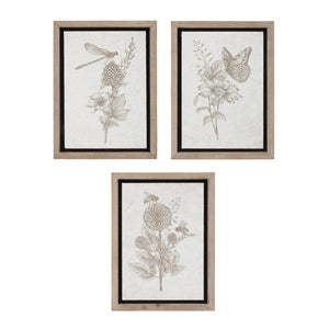Framed-floral-insect-print-(set-of-3)-Wall-Art