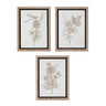 Framed-floral-insect-print-(set-of-3)-Wall-Art