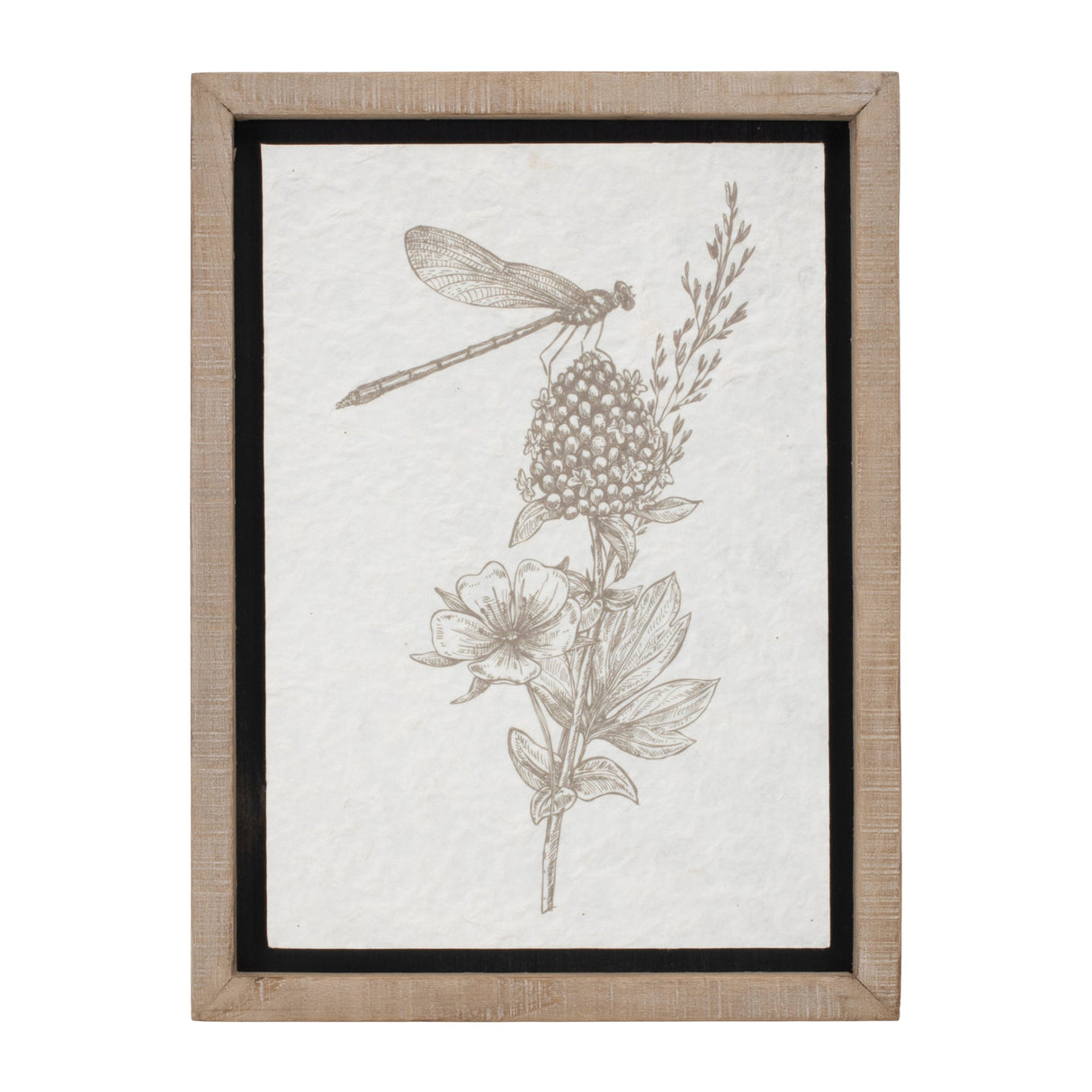 Framed Floral Insect Print (Set of 3)