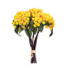 Yellow-berry-bundle-(set-of-2)-Floral-&-Greenery