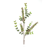 Variegated-red-berry-foliage-spray-(set-of-6)-Artificial-Flowering-Plants