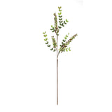 Variegated red berry foliage spray (set of 6)