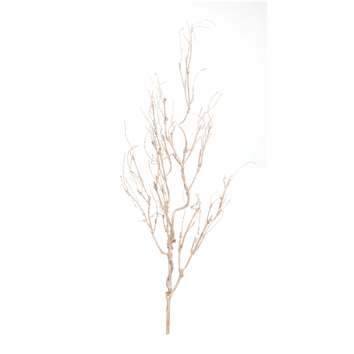 Beige-twig-branch-(set-of-6)-Artificial-Flowering-Plants
