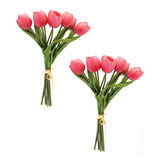 Tulip floral bundle (set of 2)