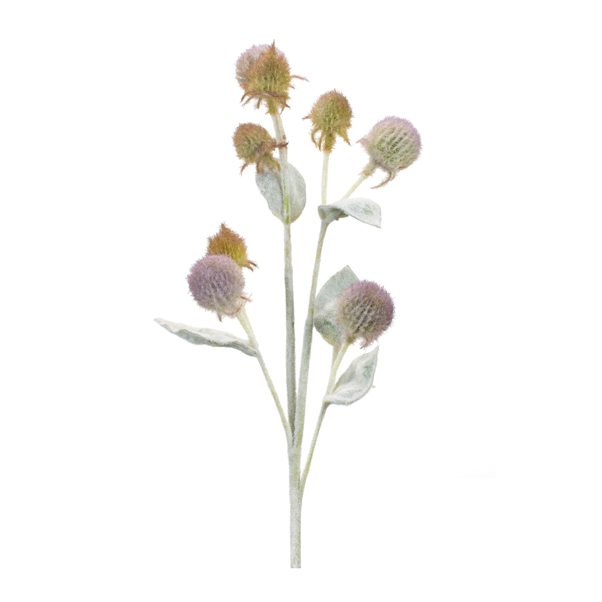 Thistle-foliage-spray-(set-of-6)-Artificial-Flowering-Plants