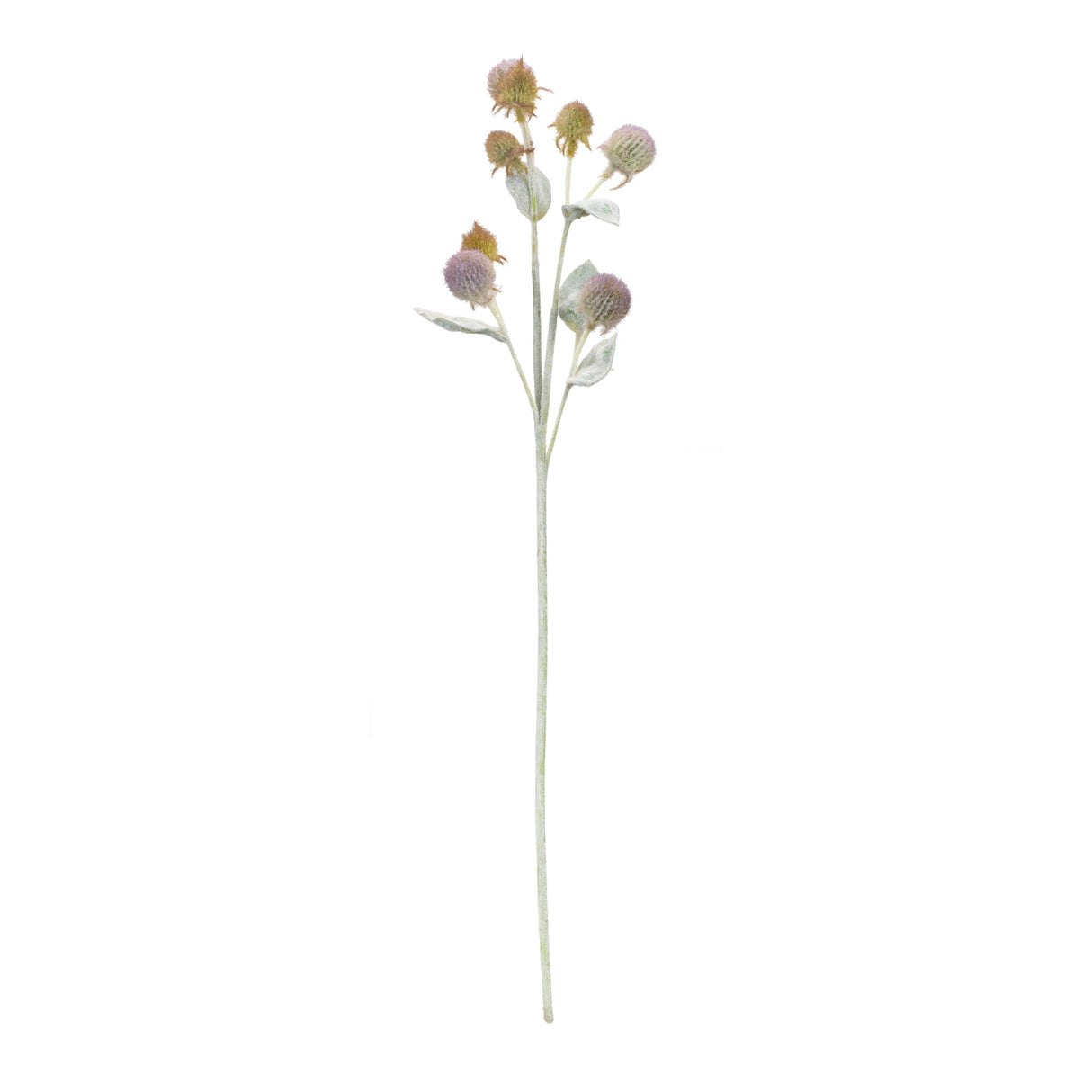 Thistle foliage spray (set of 6)