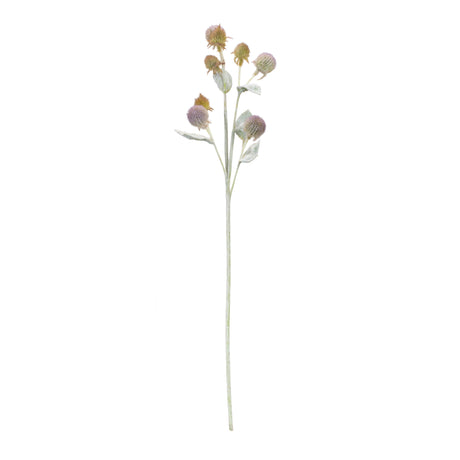 Thistle foliage spray (set of 6)