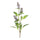 Buddleia-stem-(set-of-6)-Floral-&-Greenery
