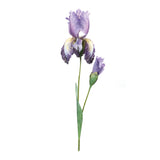 Iris-floral-stem-(set-of-6)-Floral-&-Greenery