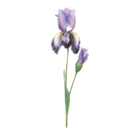 Iris-floral-stem-(set-of-6)-Floral-&-Greenery
