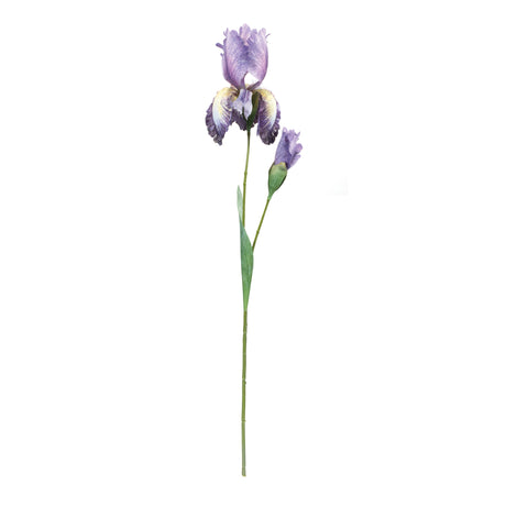 Iris floral stem (set of 6)