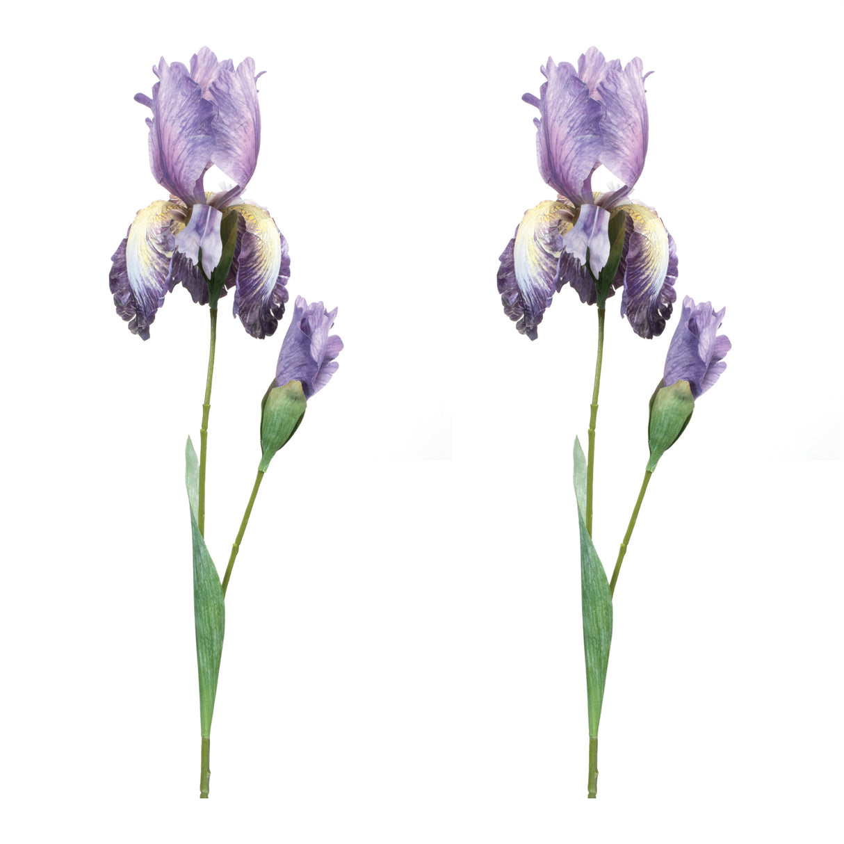 Iris floral stem (set of 6)