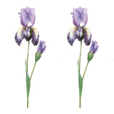 Iris floral stem (set of 6)